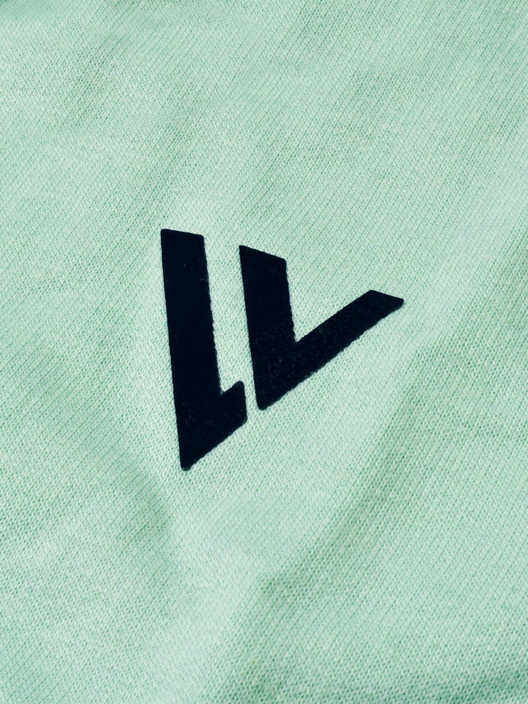 Louis Vicaci Fleece Zipper Tracksuit For Men-Light Sea Green-RT1379