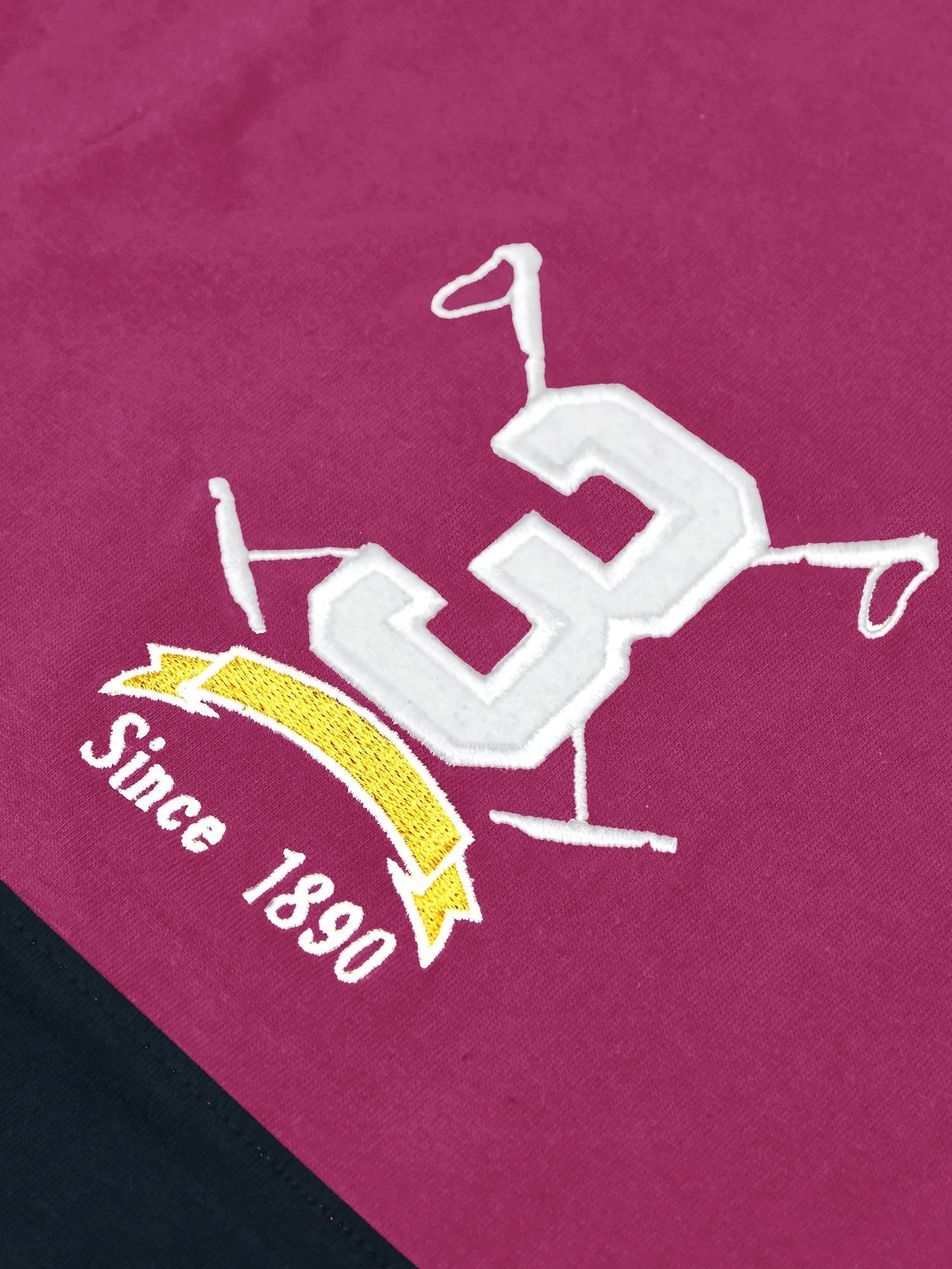 U.S.P.A Polo Shirt For Men-Magenta & Dark Navy-RT33